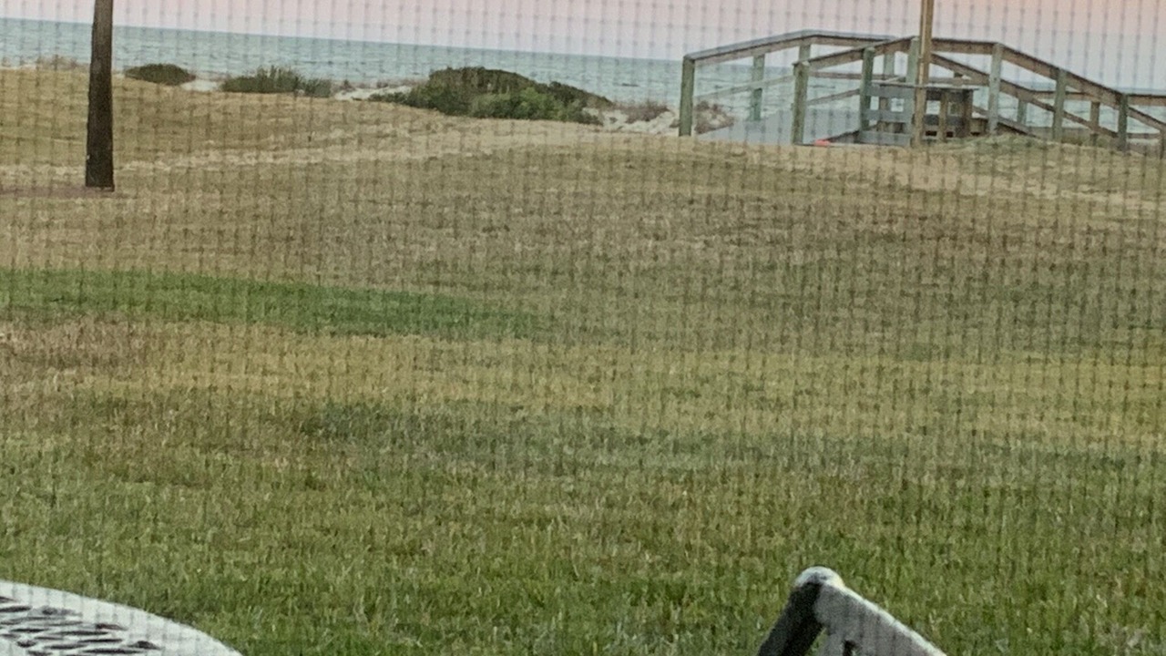 Photo of Others in Amelia City