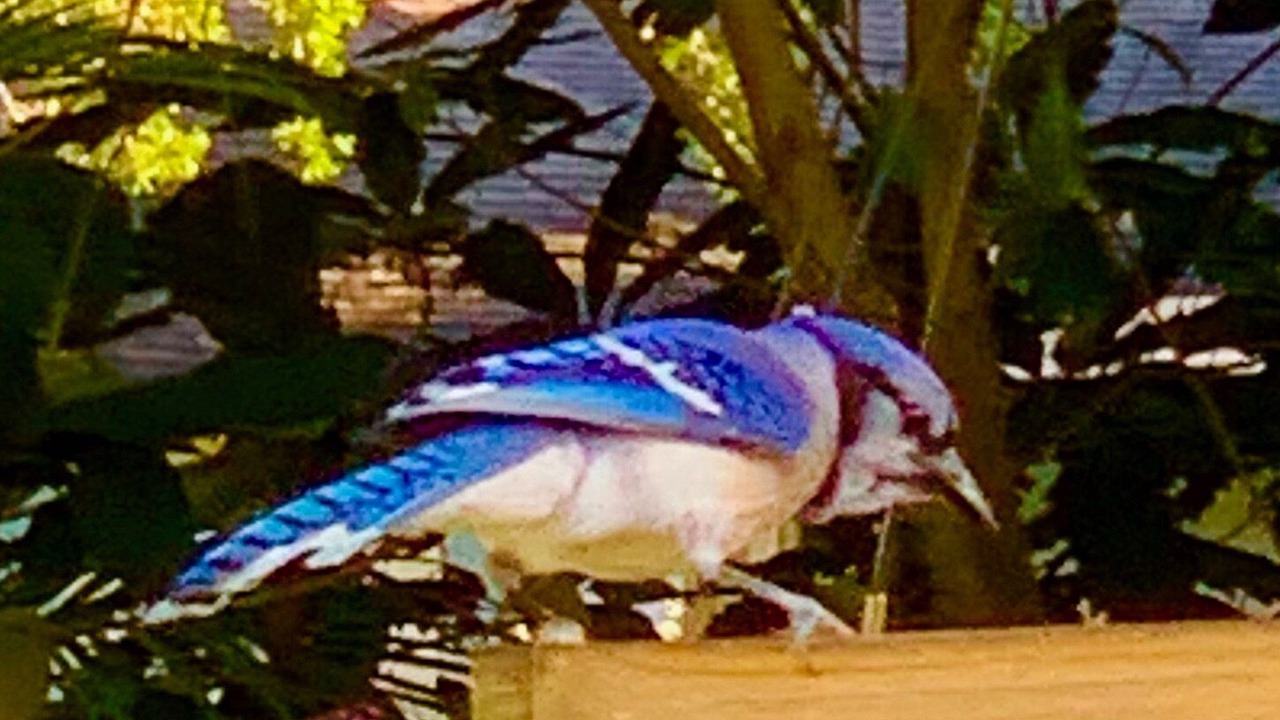 Photo of Others in Vero Beach
