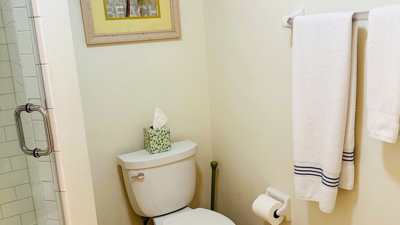 Photo of Bathroom in South Island