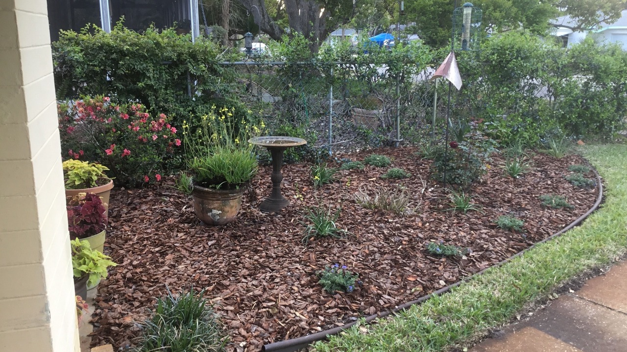 Photo of Outdoor in Edgewater