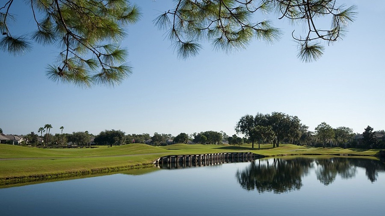 Photo of Others in Braden River