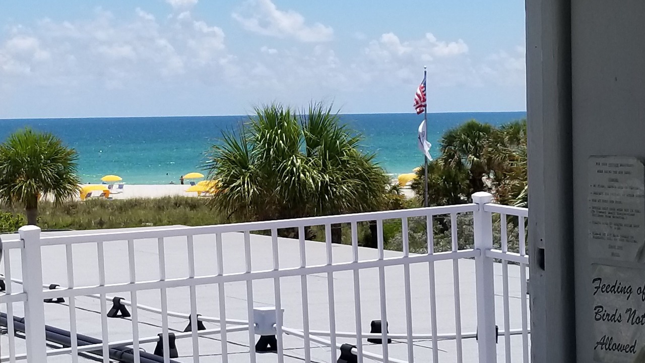 Photo of Others in St. Pete Beach