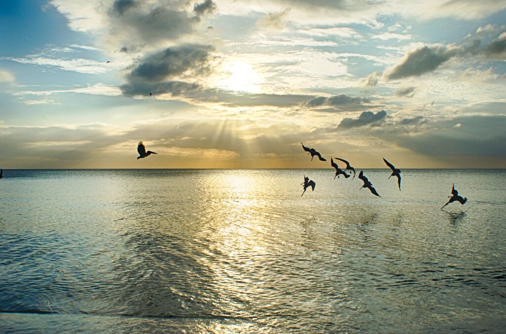 Photo of Others in Sunset Beach