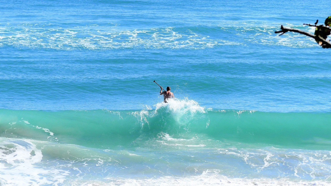 Photo of Others in Bella Vista