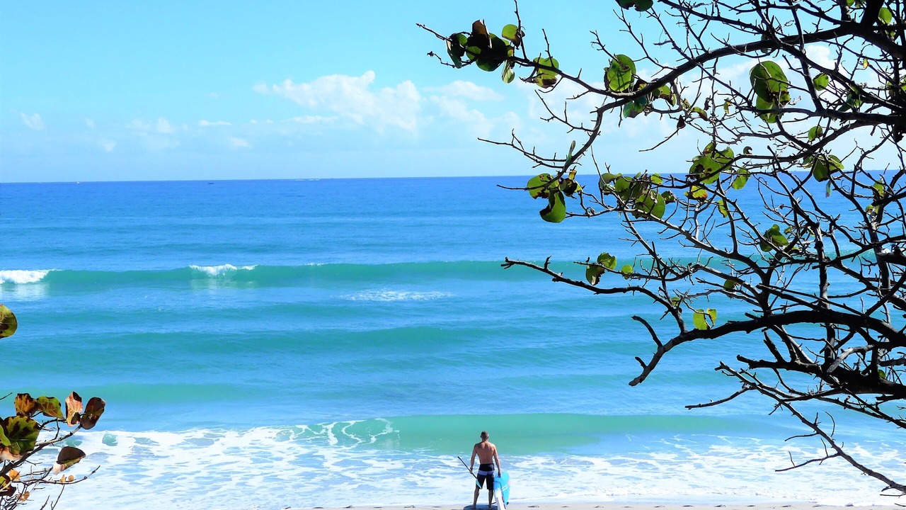 Photo of Others in Jupiter Bay