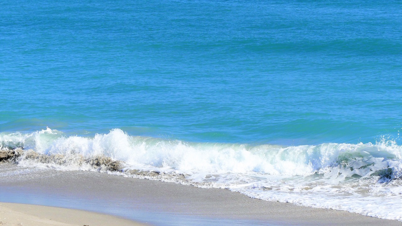 Photo of Others in Jupiter Bay