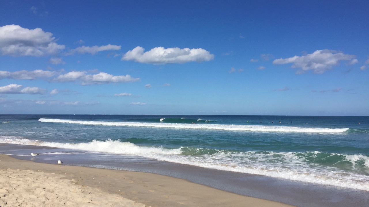 Photo of Others in Fort Pierce Shores