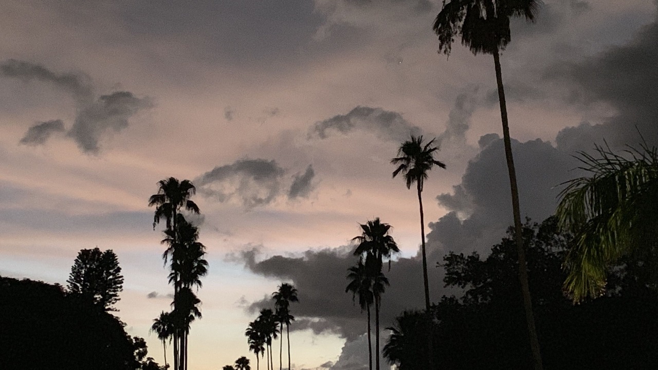 Photo of Others in Bradenton