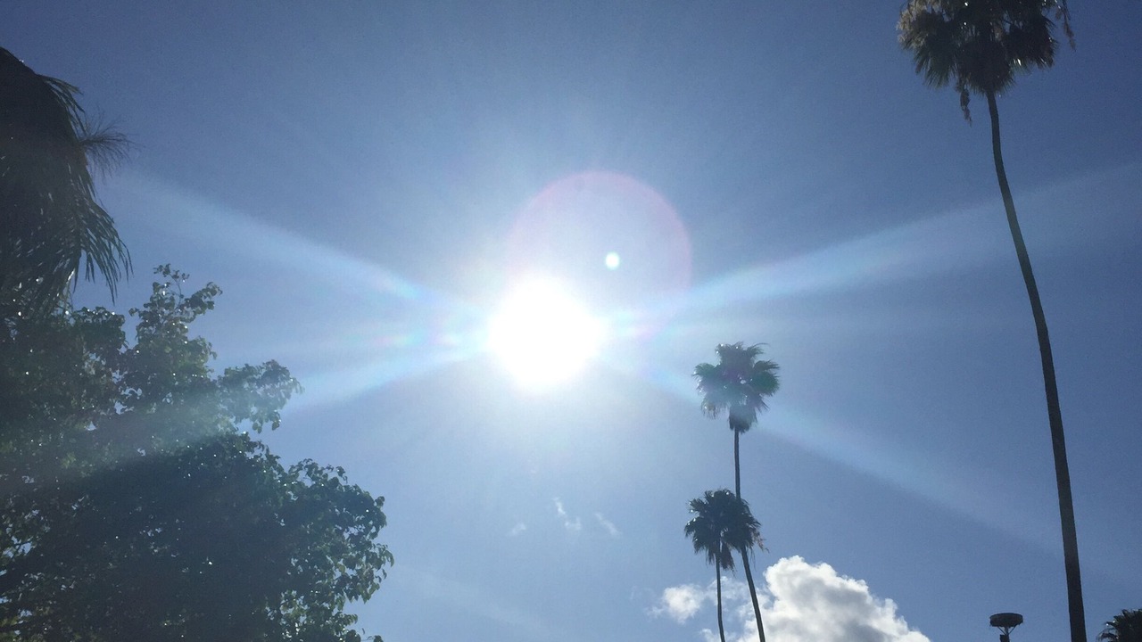 Photo of Others in Bradenton