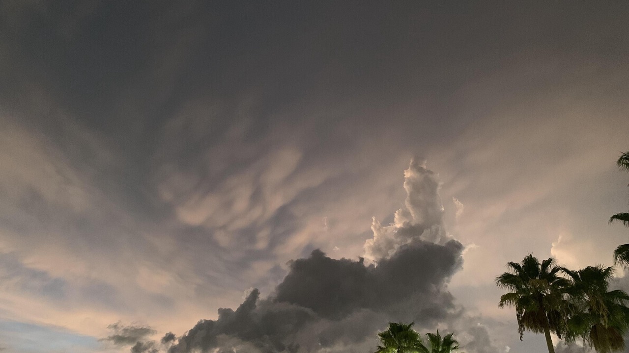 Photo of Others in Bradenton