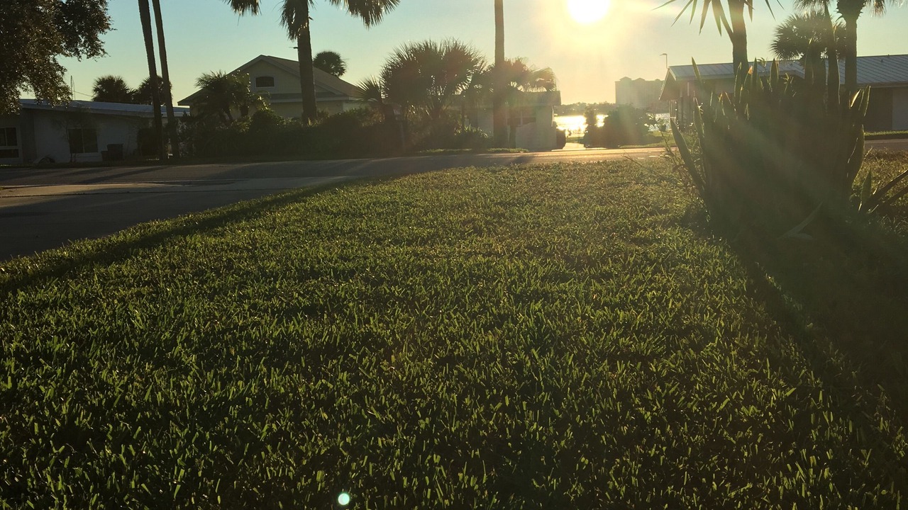 Photo of Others in Daytona Beach