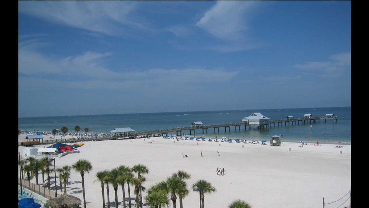 Photo of Others in Clearwater