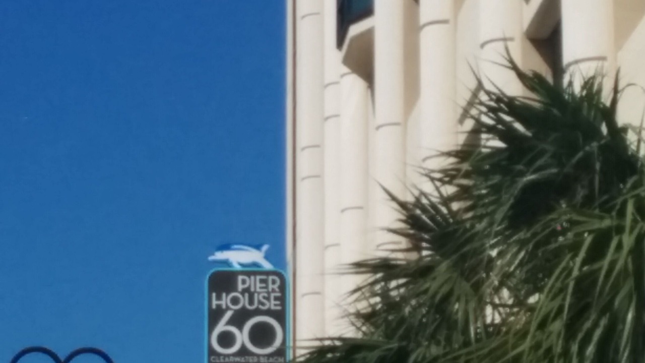 Photo of Others in Clearwater