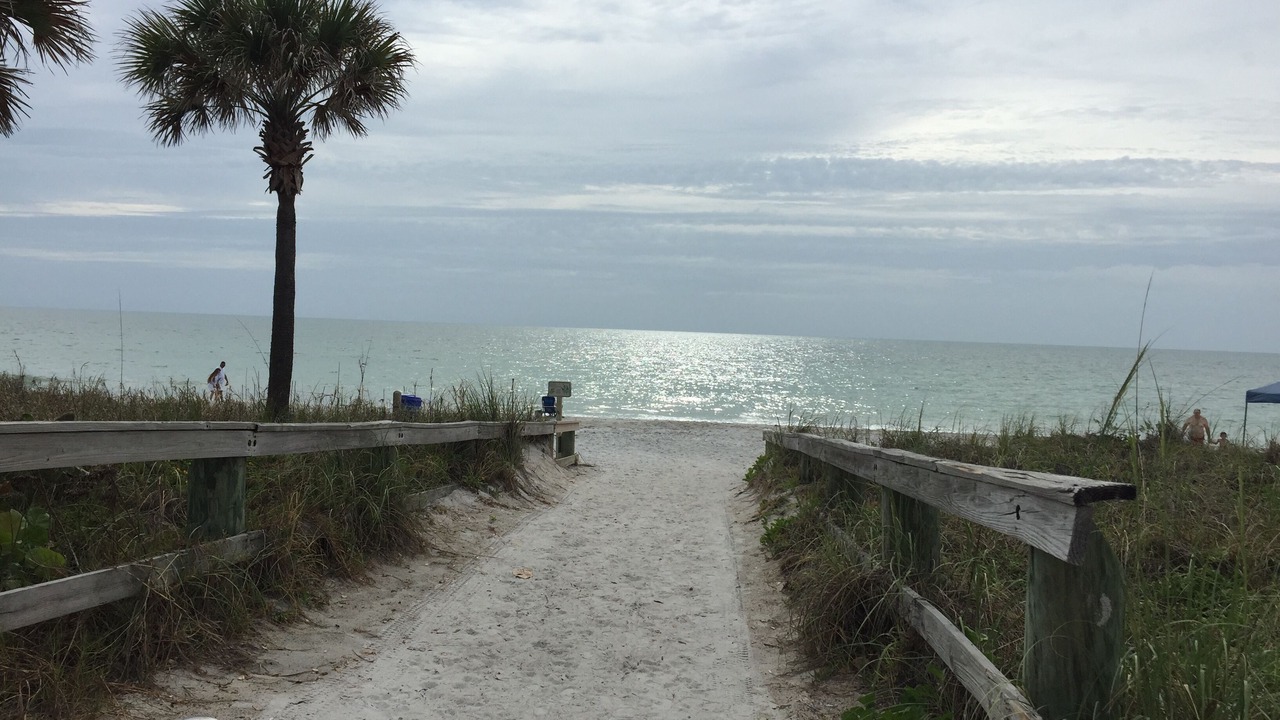 Photo of Others in Clearwater