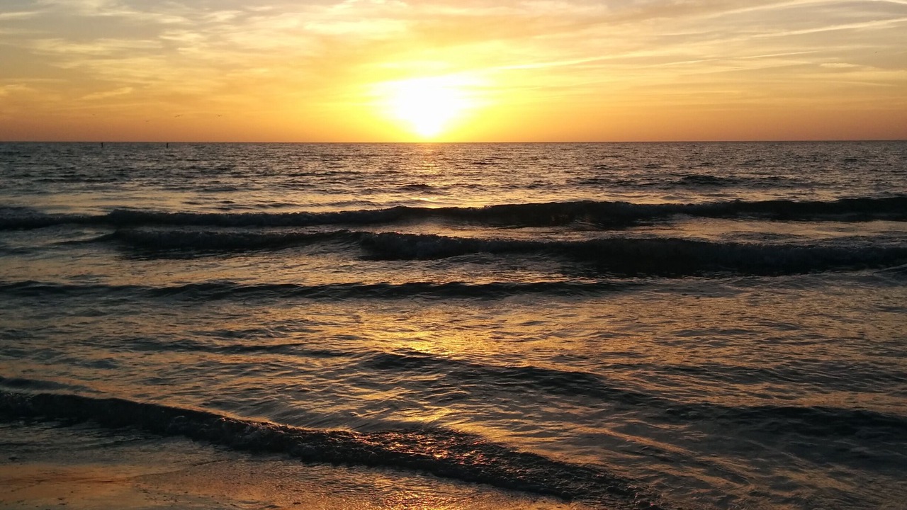 Photo of Others in Clearwater