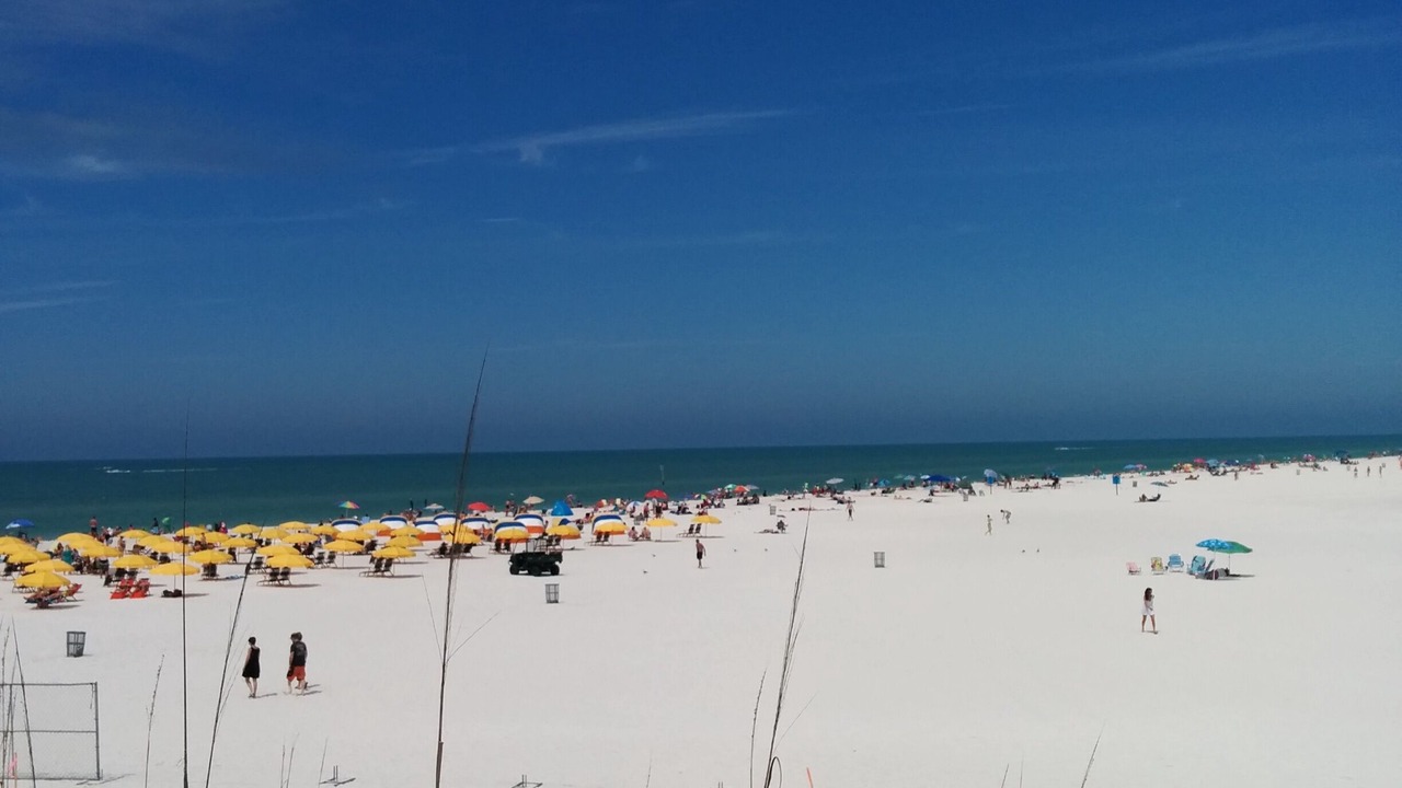 Photo of Others in Clearwater