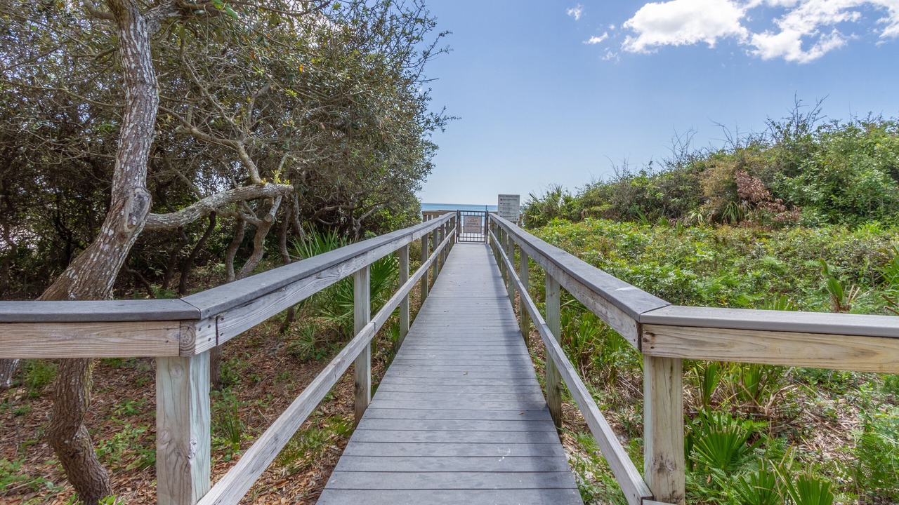 Photo of Outdoor in Seagrove Beach