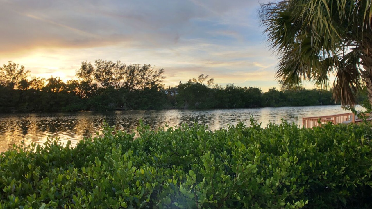 Photo of Others in Siesta Key