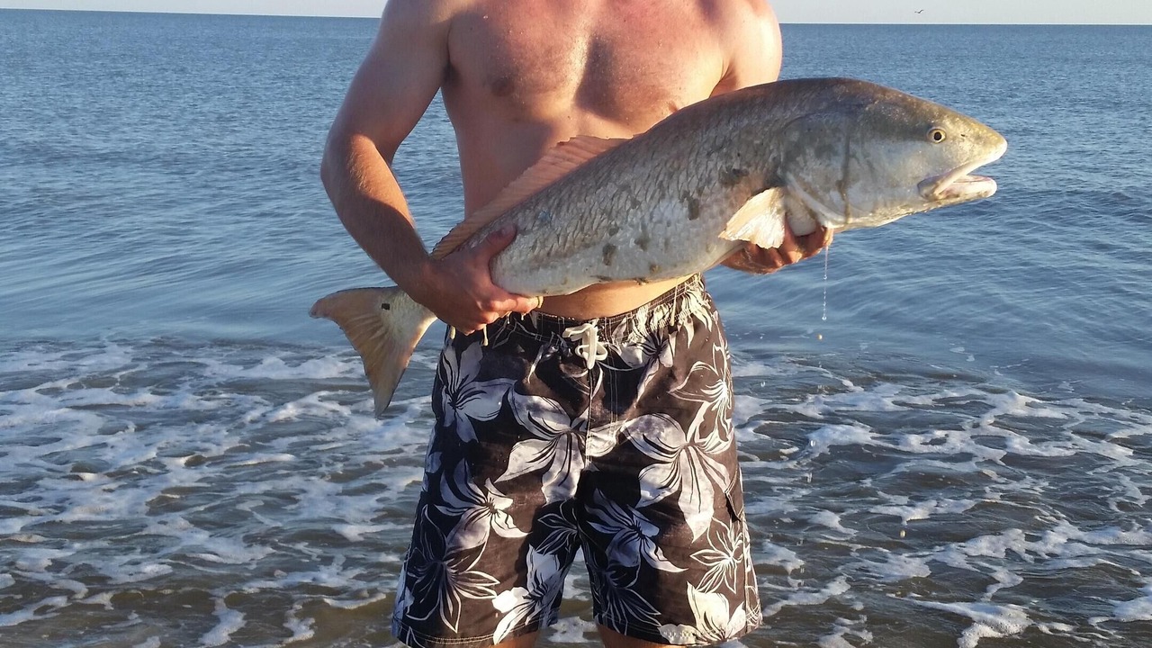 Photo of Others in Cape San Blas