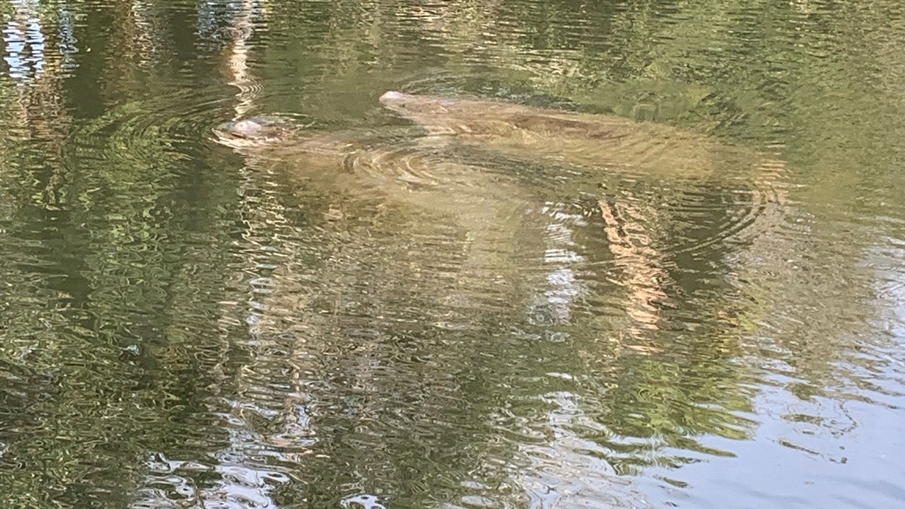 Photo of Outdoor in Crystal Shores