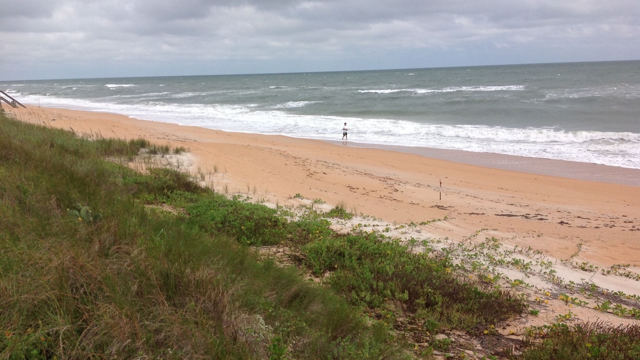 Photo of Others in Flagler Beach