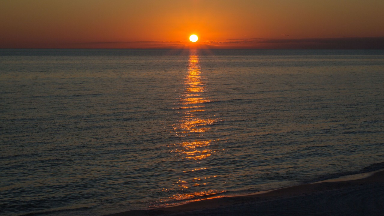 Photo of Others in Marco Island