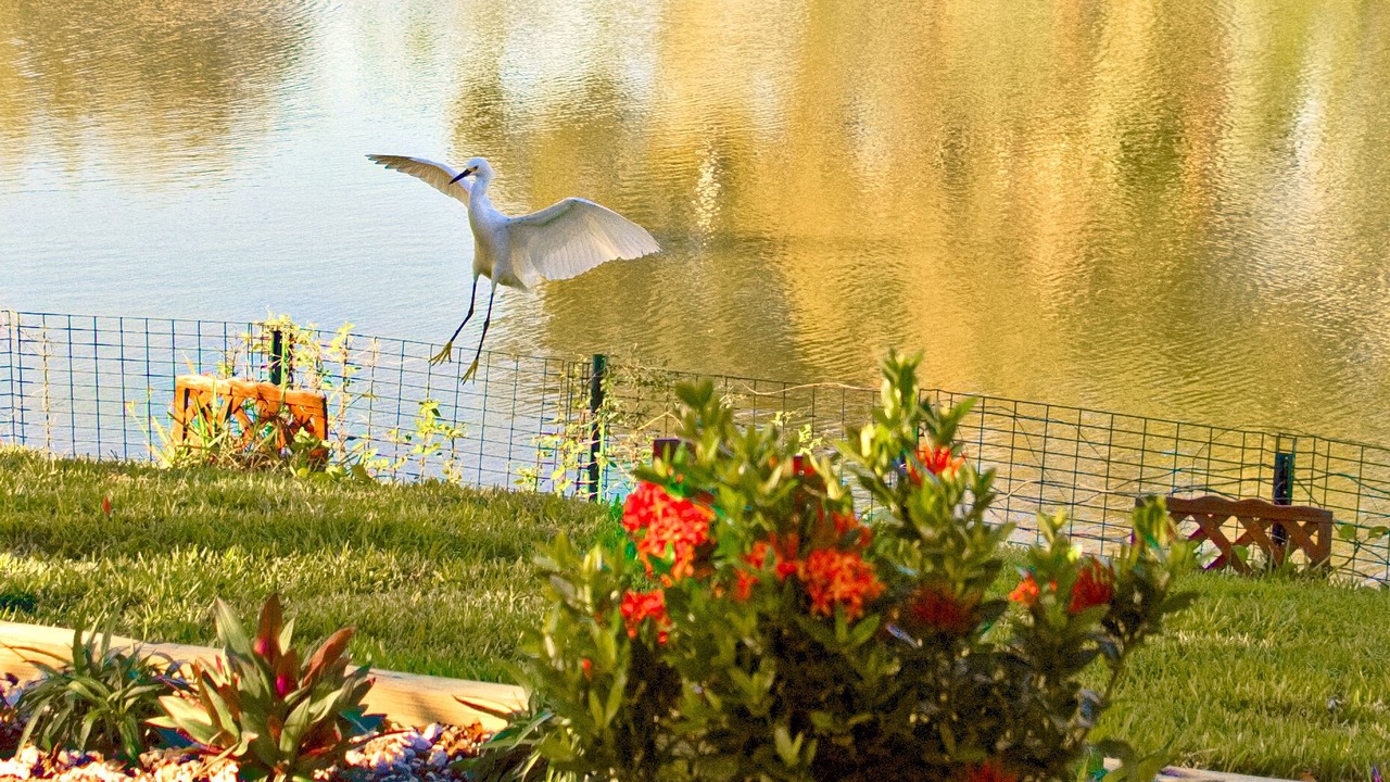 Photo of Outdoor in Venice Gardens