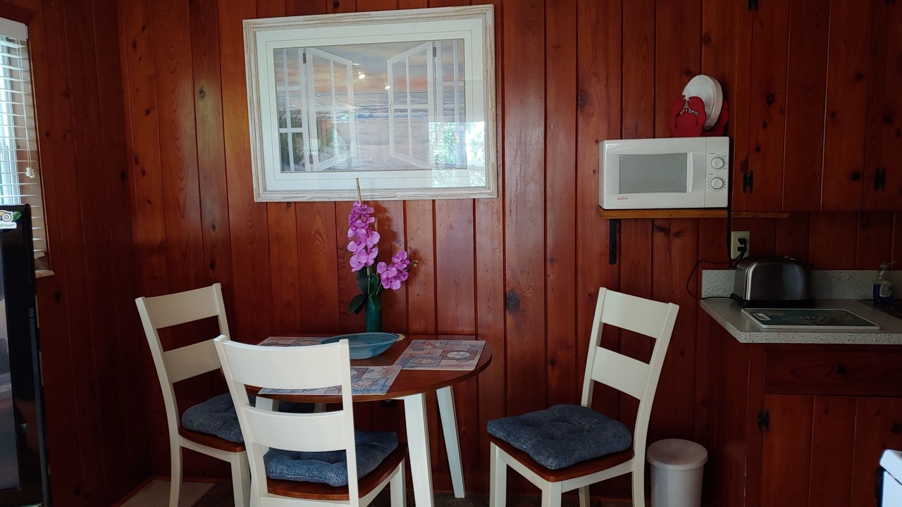 Photo of Others in Indian Rocks Beach