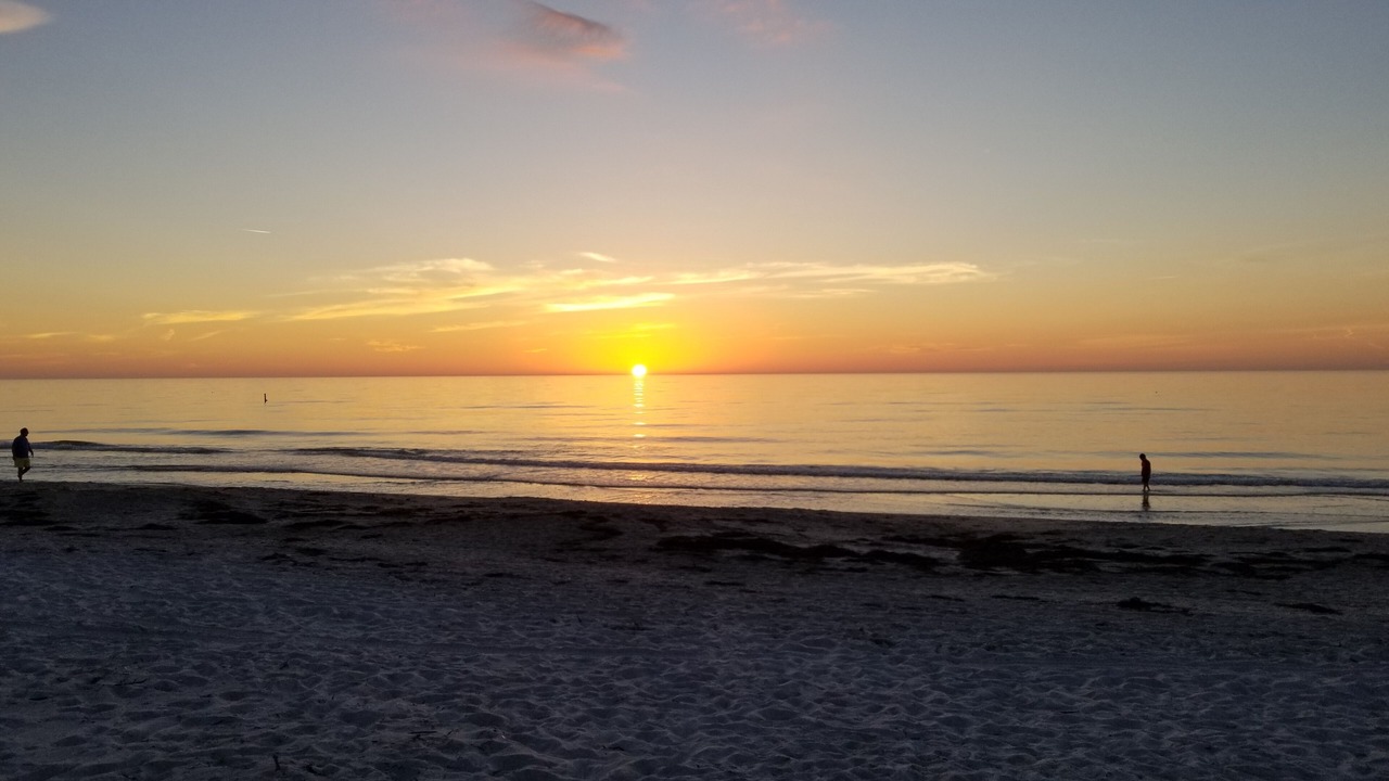Photo of Others in Indian Rocks Beach