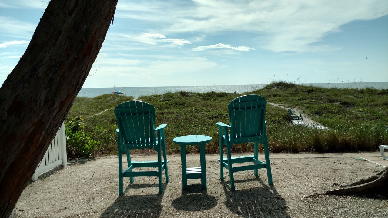 Photo of Others in Indian Rocks Beach