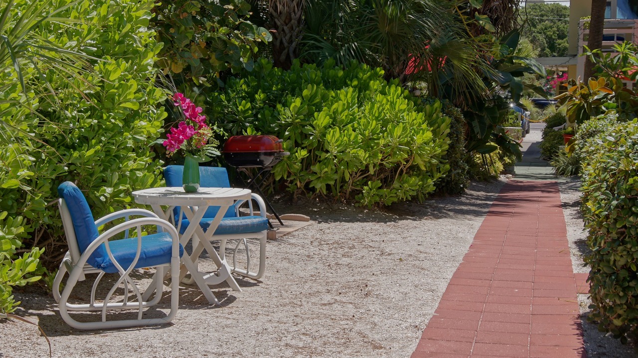 Photo of Others in Indian Rocks Beach