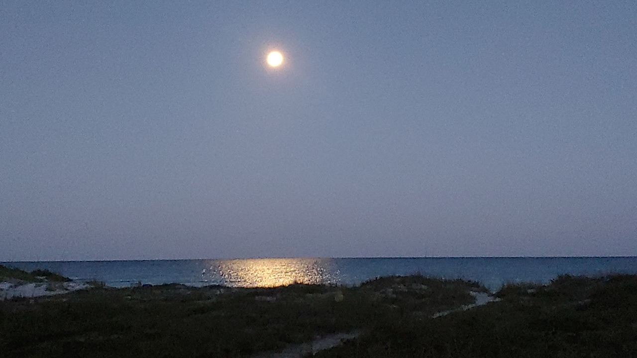 Photo of Others in Indian Rocks Beach