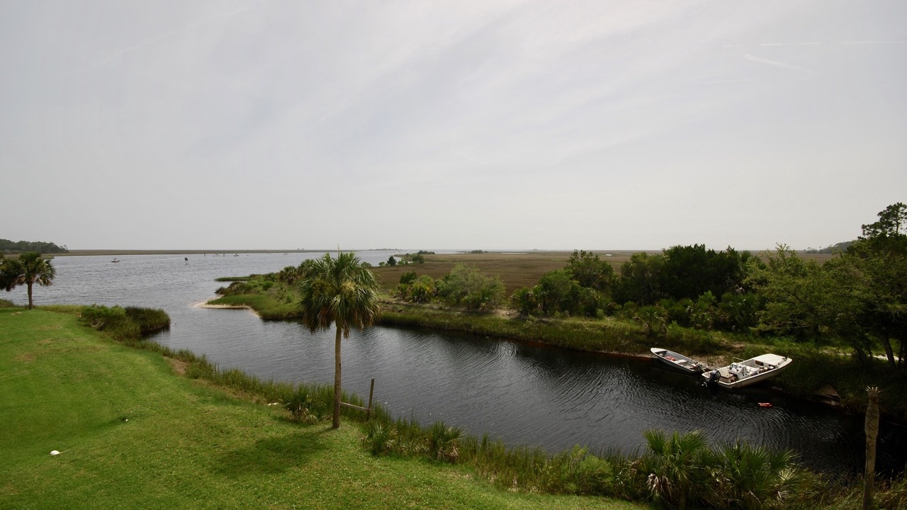 Photo of Others in Steinhatchee