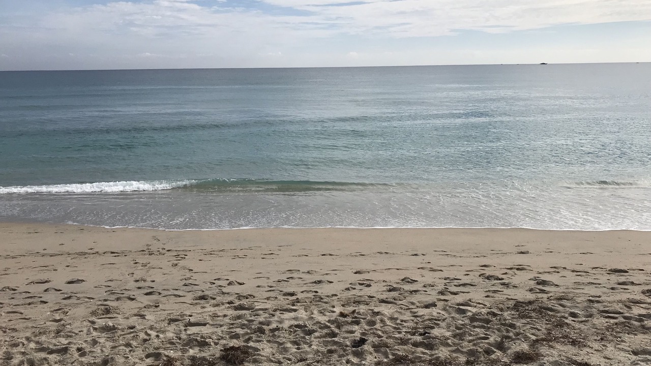 Photo of Others in Lake Worth