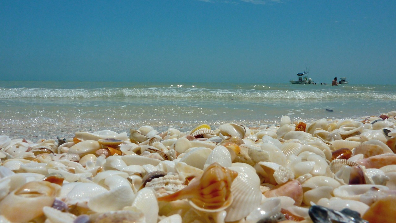 Photo of Others in Sanibel