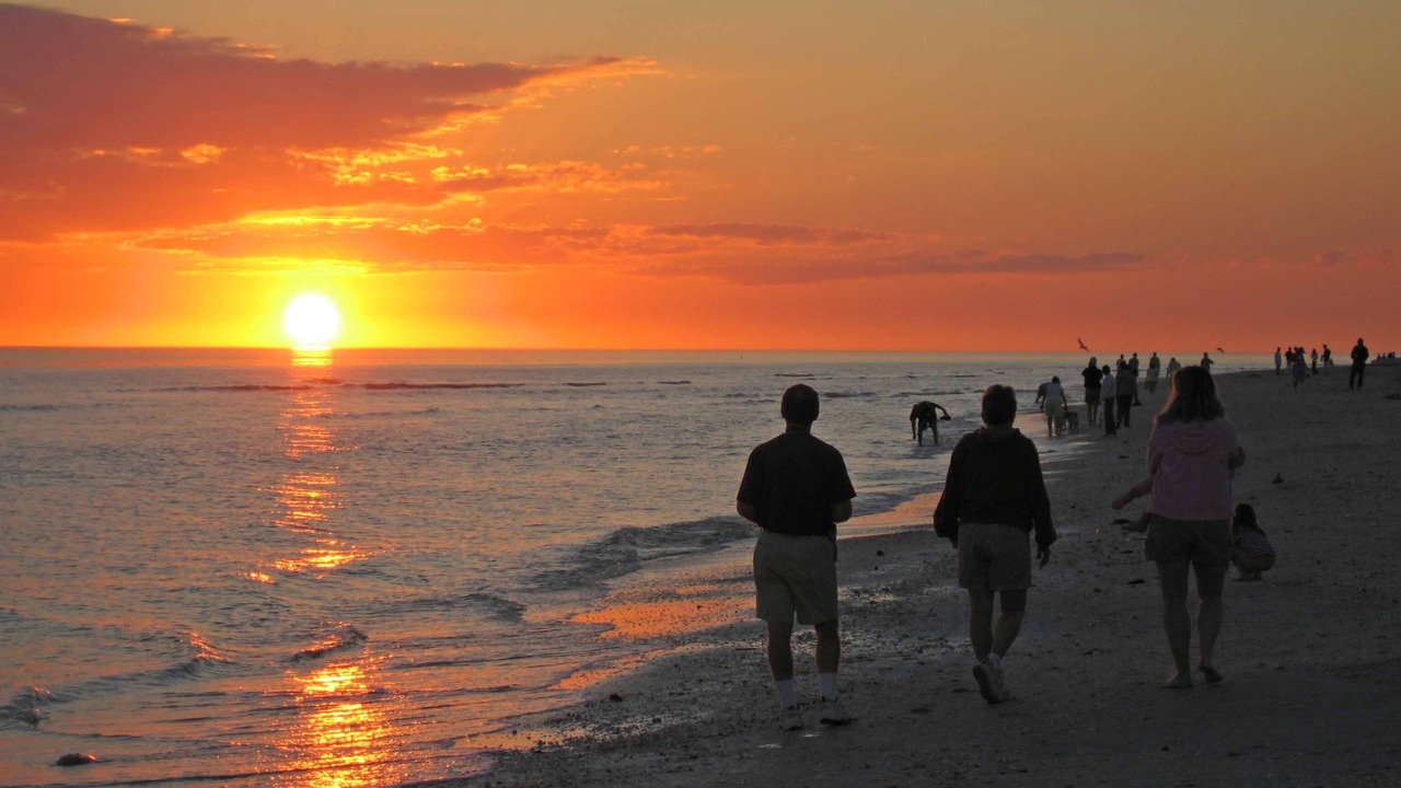 Photo of Others in Sanibel