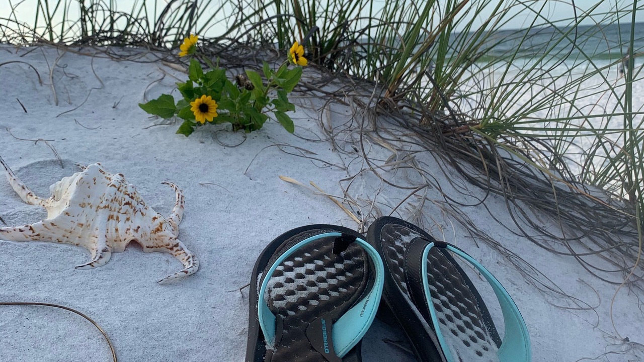 Photo of Others in Fort Walton Beach