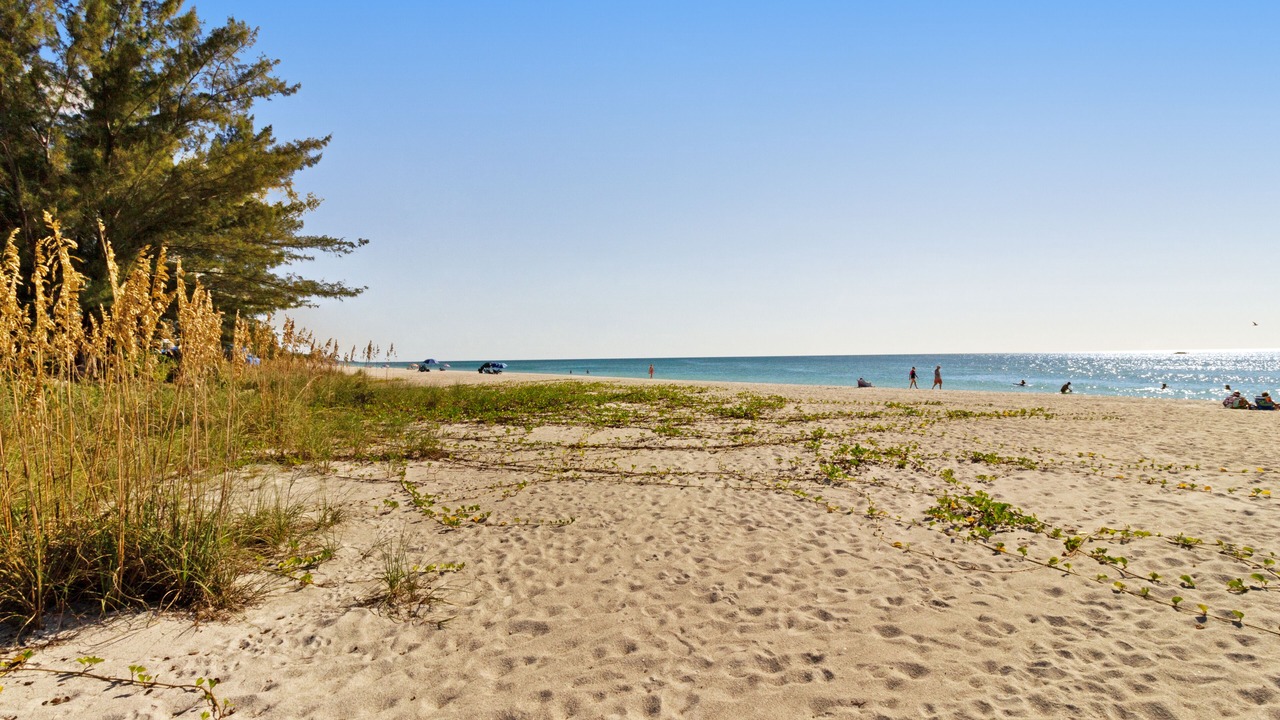 Photo of Others in Holmes Beach