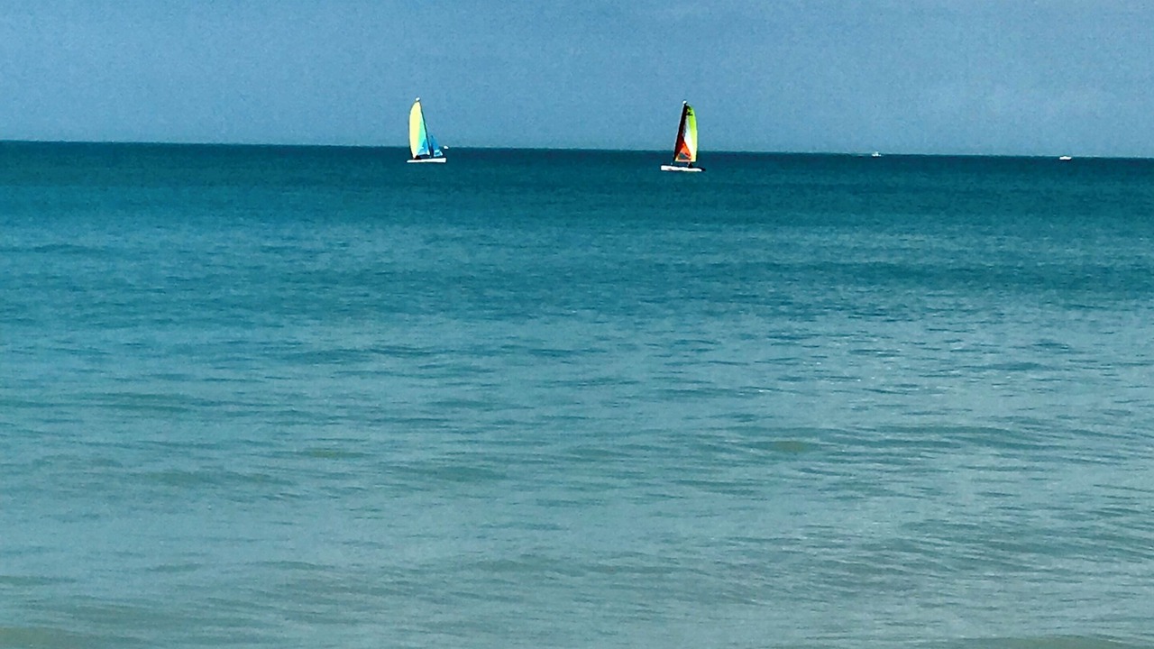 Photo of Others in Marco Island