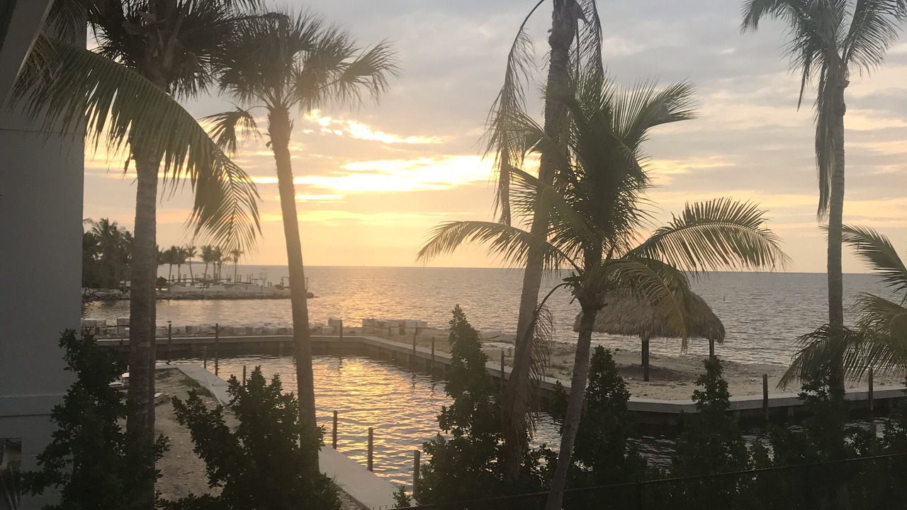 Photo of Others in Islamorada