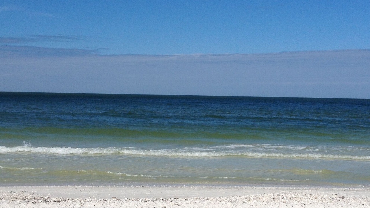 Photo of Others in Marco Island