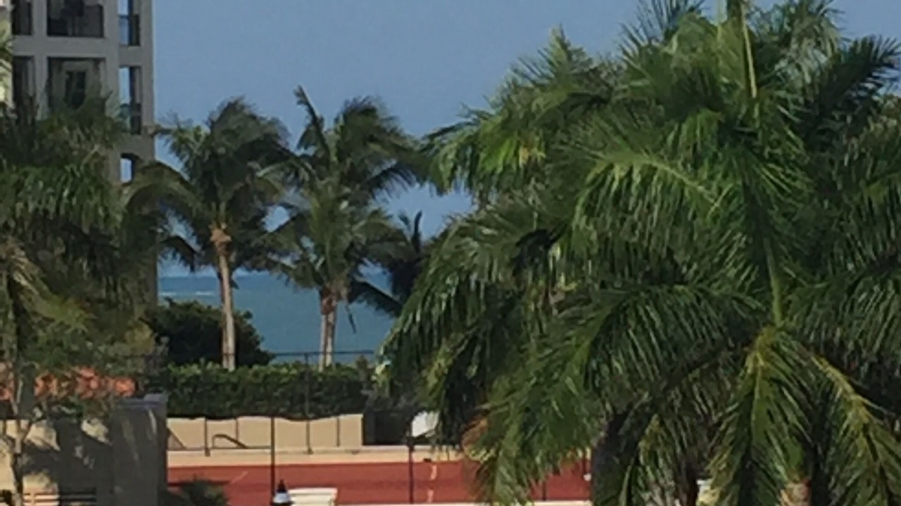 Photo of Others in Marco Island