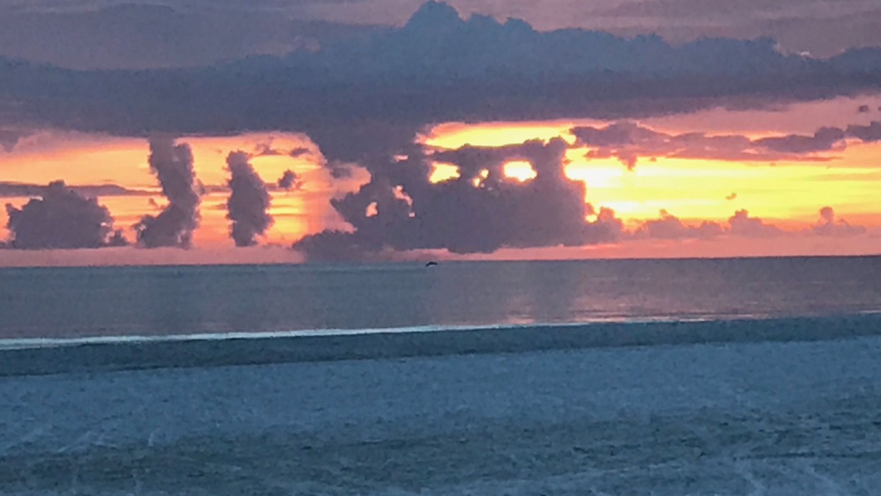 Photo of Others in Marco Island