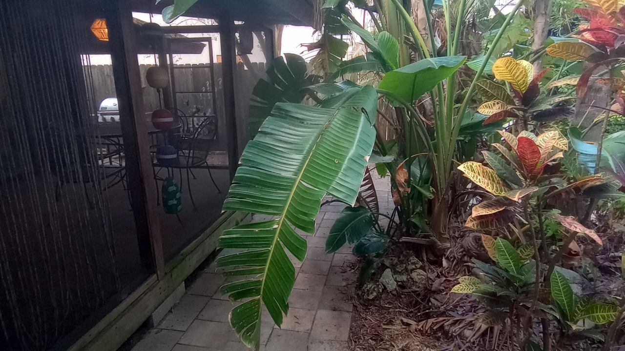 Photo of Outdoor in Cape Cay