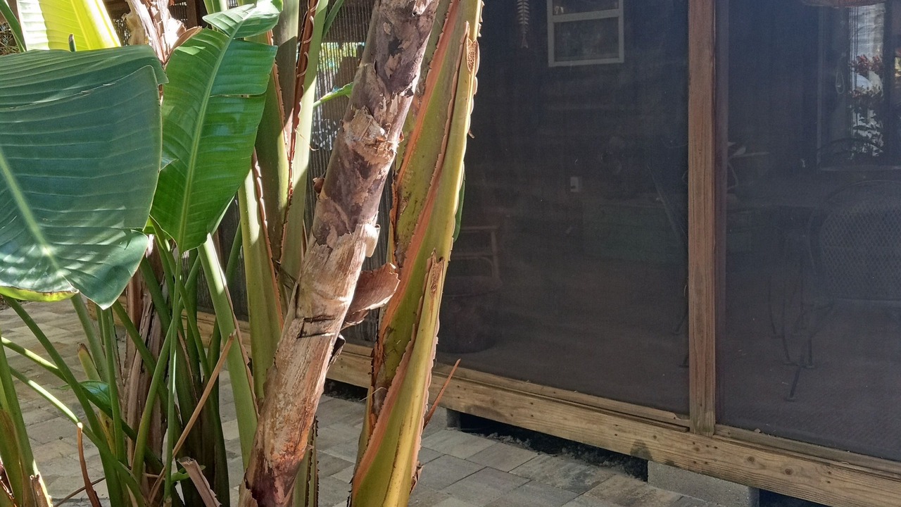 Photo of Outdoor in Cape Cay