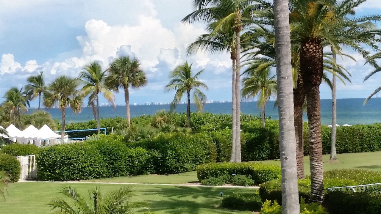 Photo of Others in Sanibel