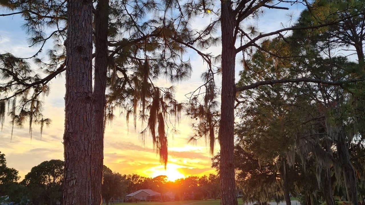 Photo of Others in Haines City