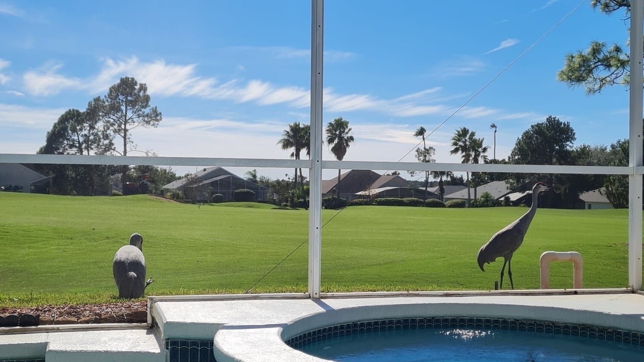 Photo of Outdoor in Haines City