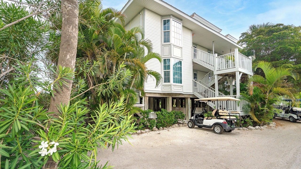 Photo of Outdoor in Palm Island
