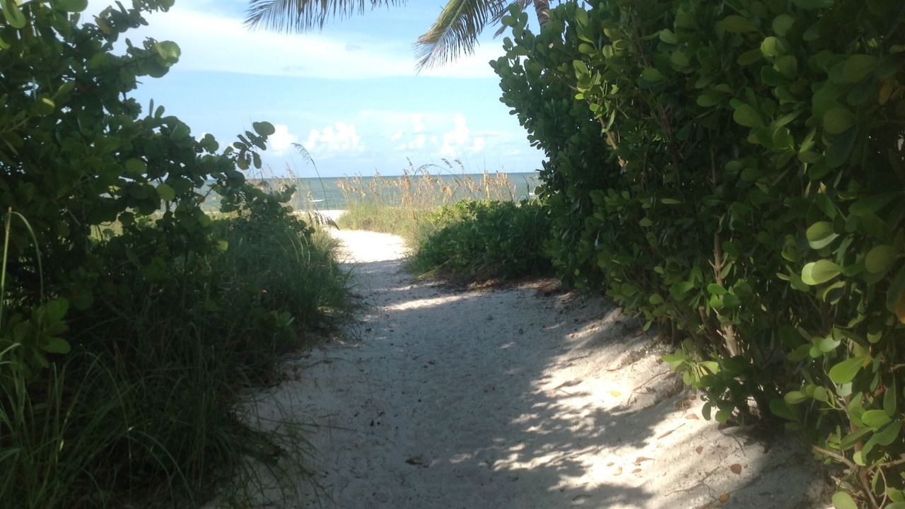 Photo of Others in Fort Myers Beach